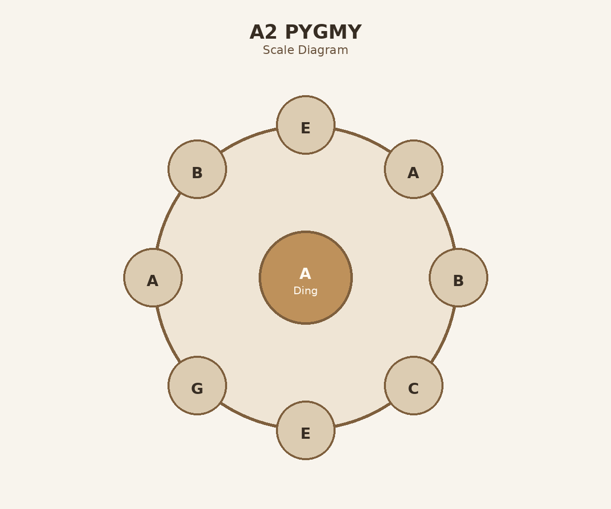 A2 Pygmy top layout diagram