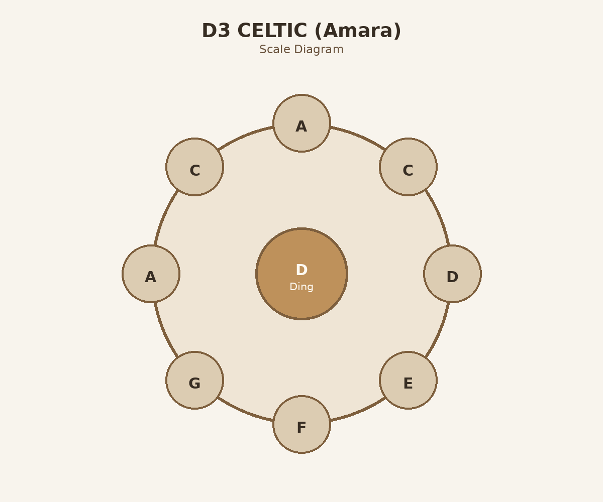D3 Amara top layout diagram