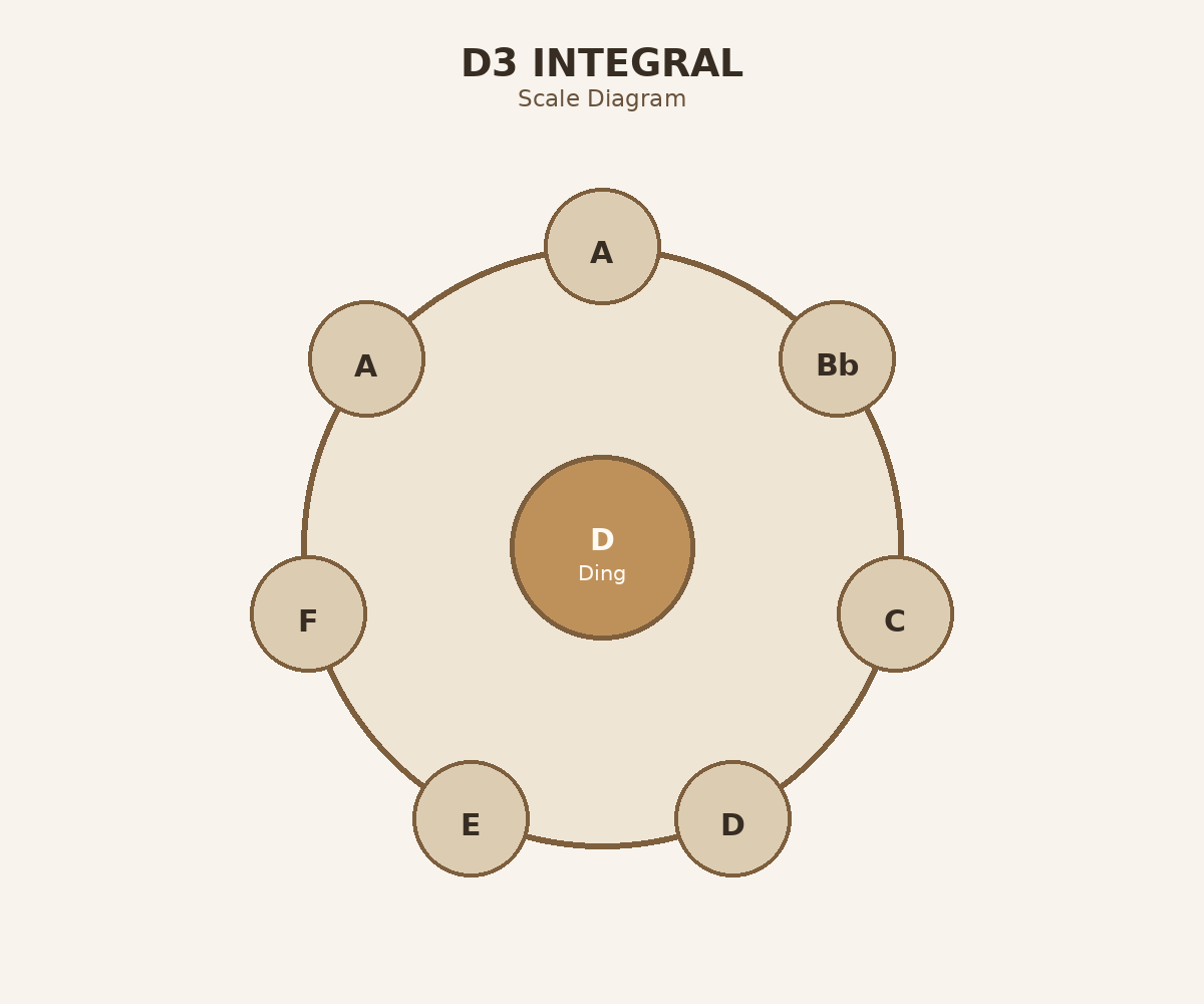 D3 Integral top layout diagram